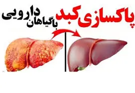 هشدارها در مورد پاکسازی نادرست کبد؛ ارائه راهکارهای اصولی